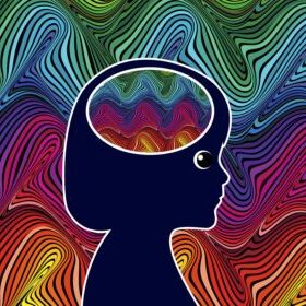 brain in out post 2 comp 2
